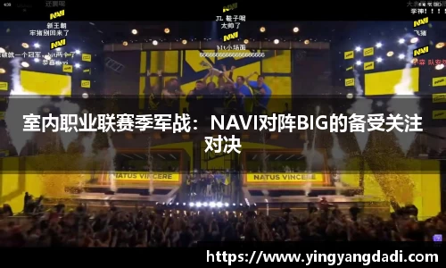 室内职业联赛季军战：NAVI对阵BIG的备受关注对决