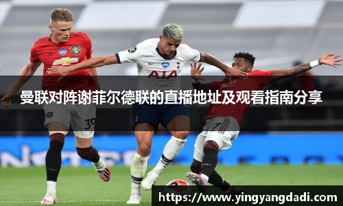 Bsports必一平台
